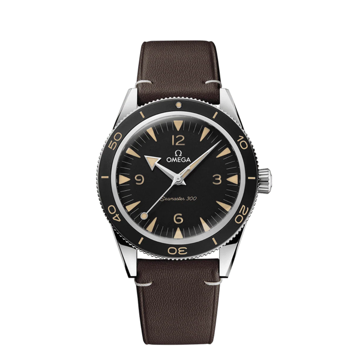 OMEGA Seamaster 300 Co-Axial Master Chronometer 41mm Watch
