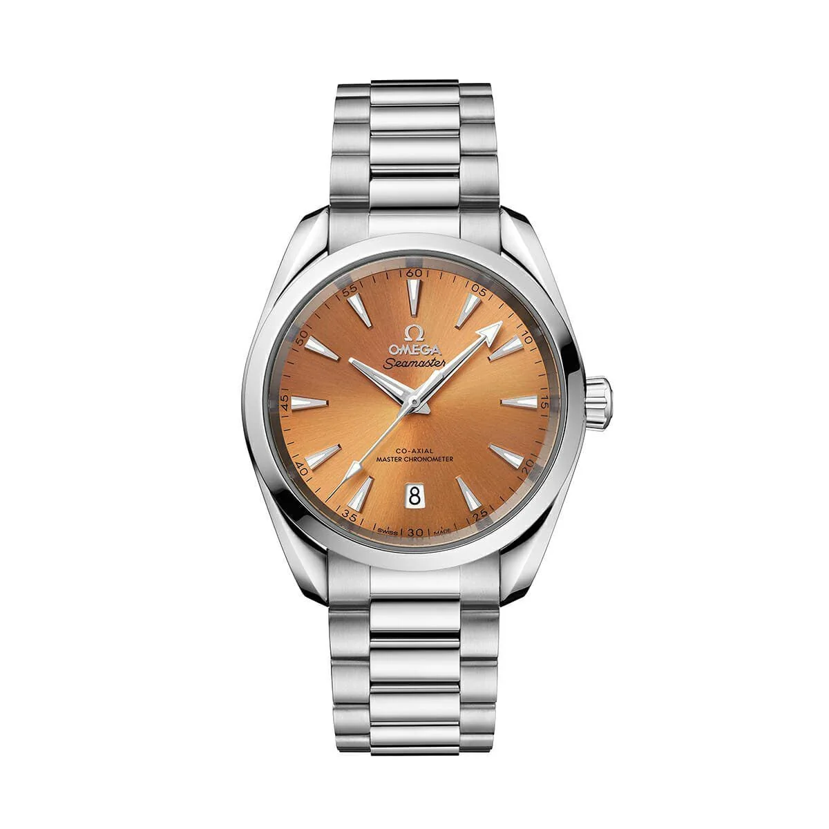 OMEGA Seamaster Aqua Terra Steel Chronometer 38mm Watch