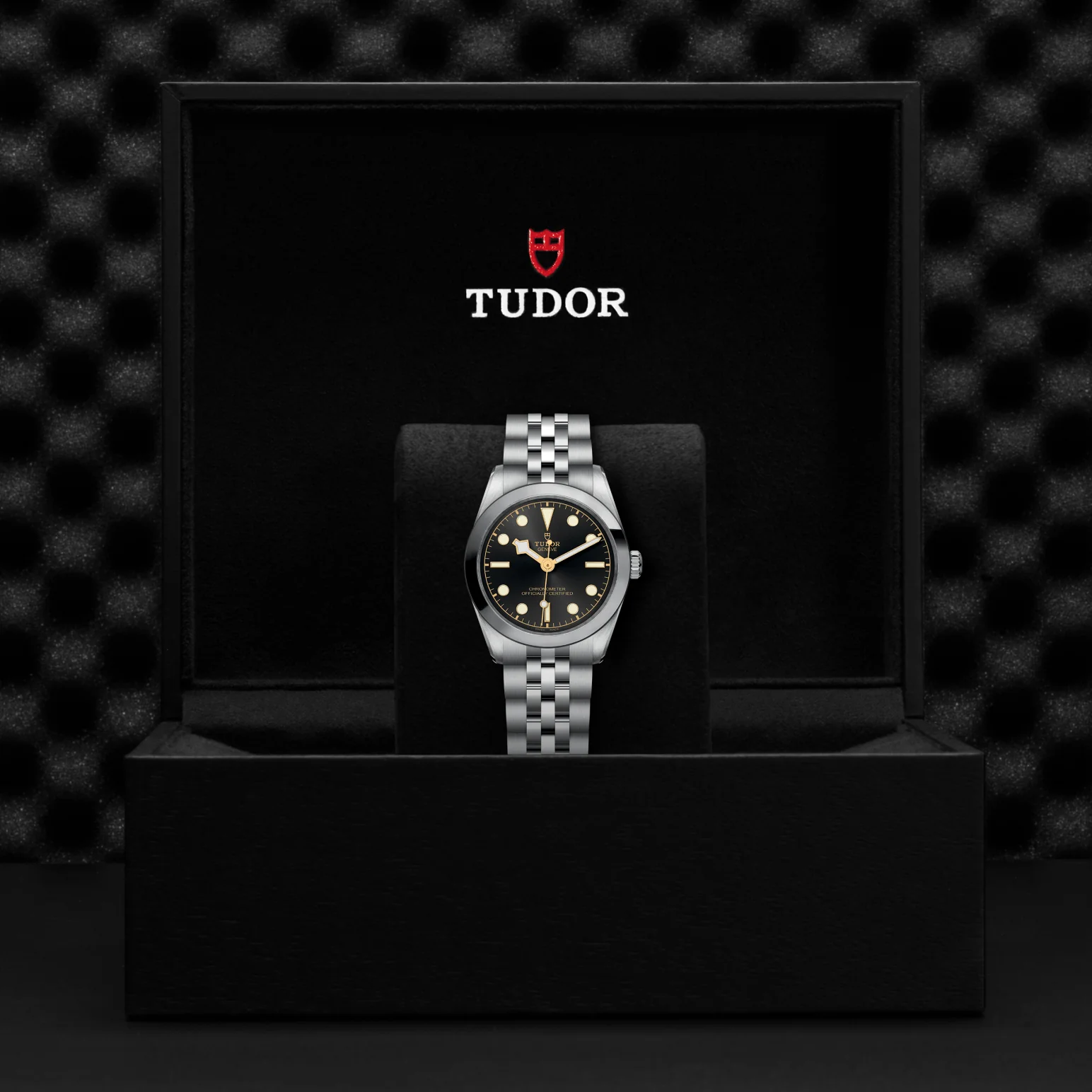 TUDOR Black Bay One 31 Automatic Watch - Image 4
