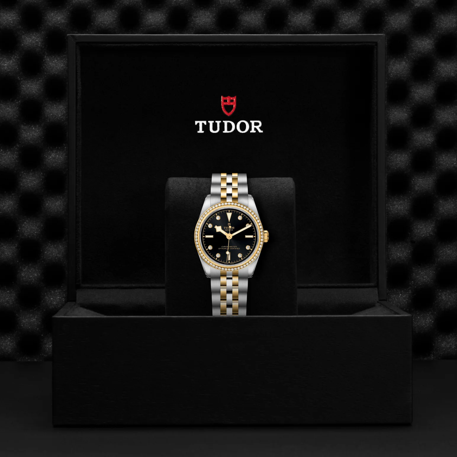 TUDOR Black Bay ONE 31 S&G Automatic Watch - Image 4