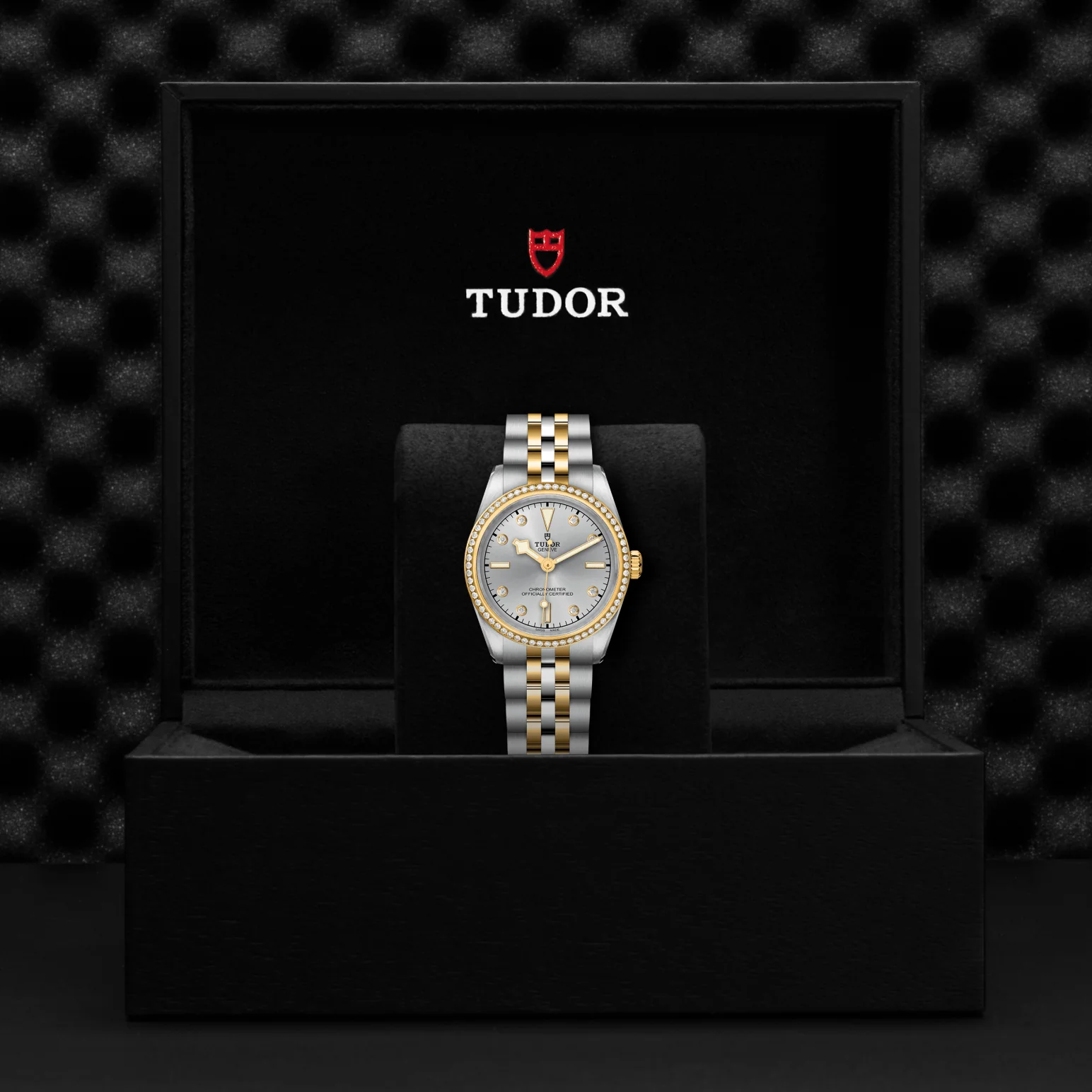 TUDOR Black Bay ONE 31 S&G Automatic Watch - Image 4