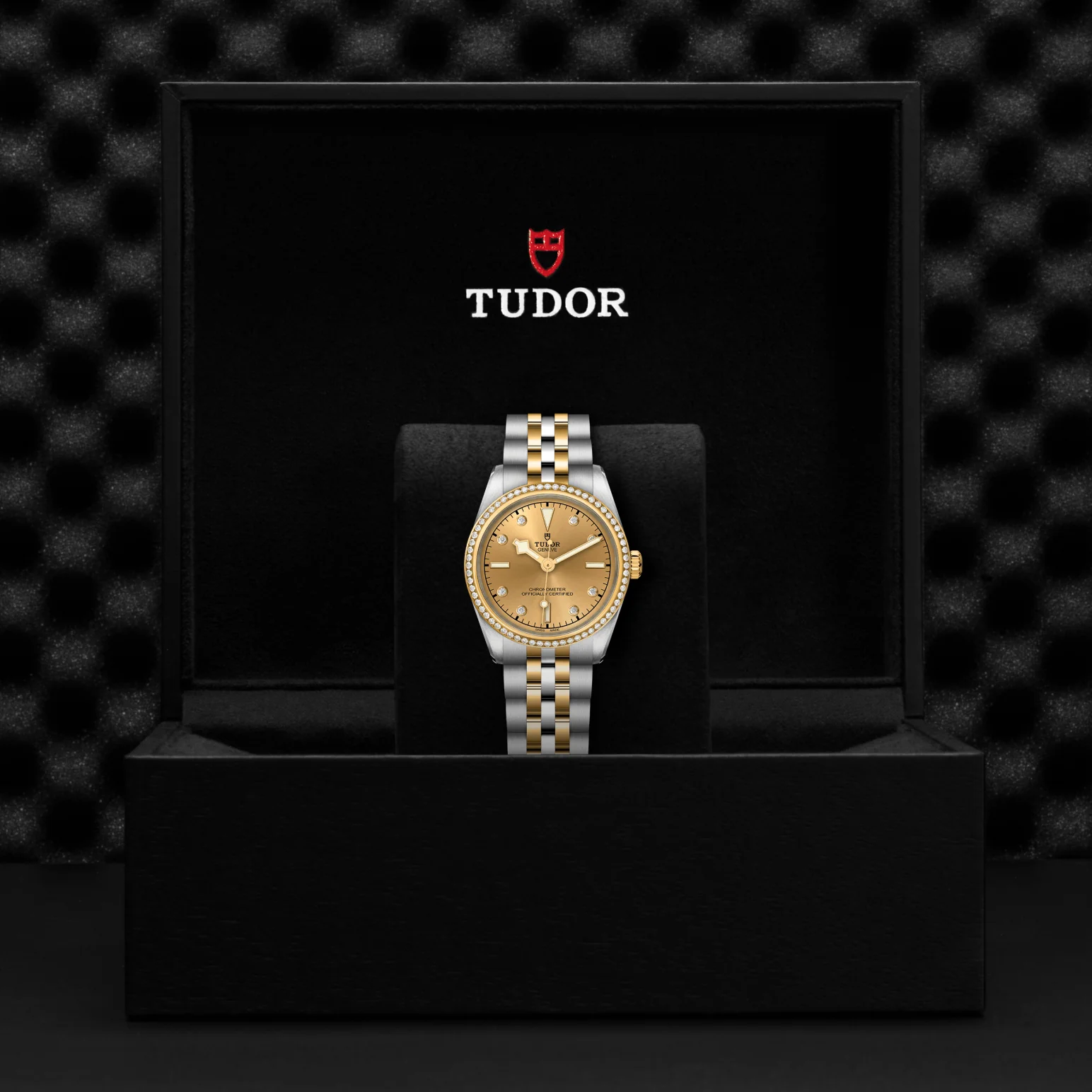 TUDOR Black Bay ONE 31 S&G Automatic Watch - Image 4