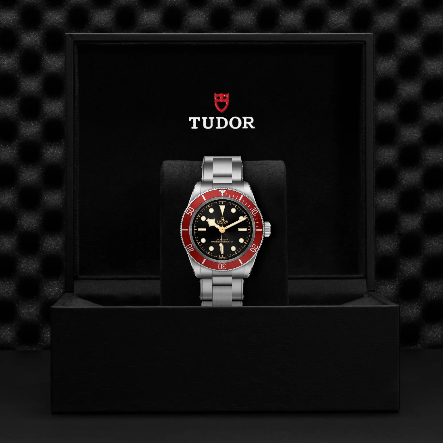TUDOR Black Bay 41 Automatic Watch - Image 4