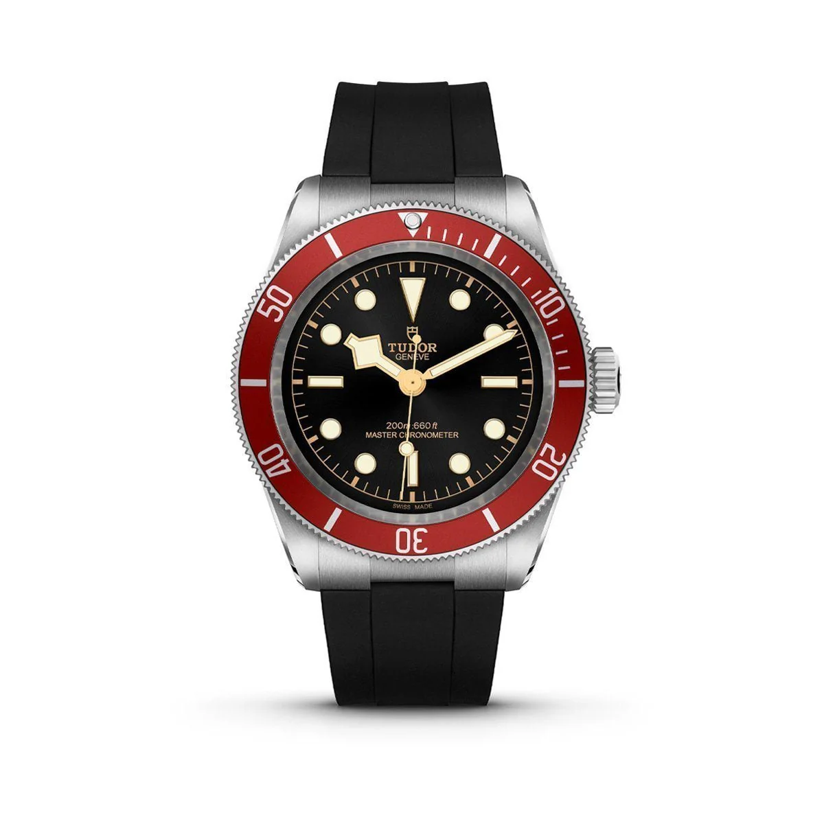 TUDOR Black Bay 41 Automatic Watch