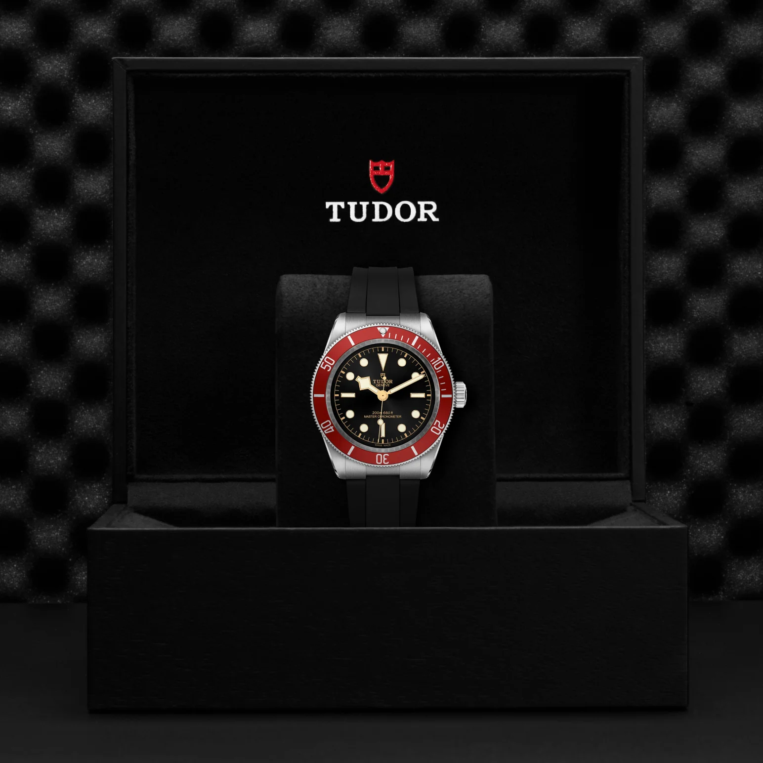 TUDOR Black Bay 41 Automatic Watch - Image 4