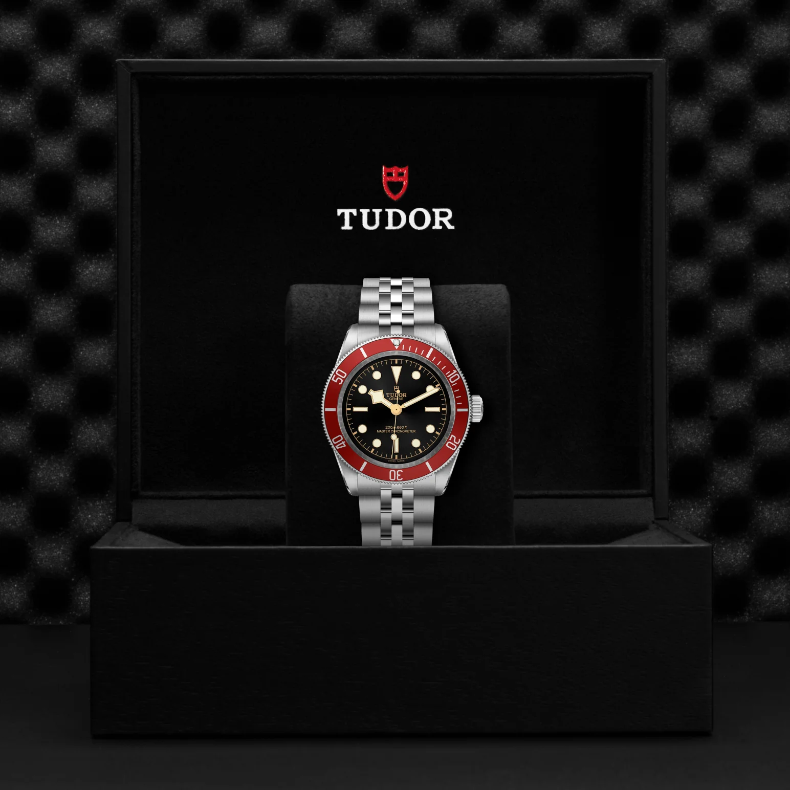 TUDOR Black Bay 41 Automatic Watch - Image 4