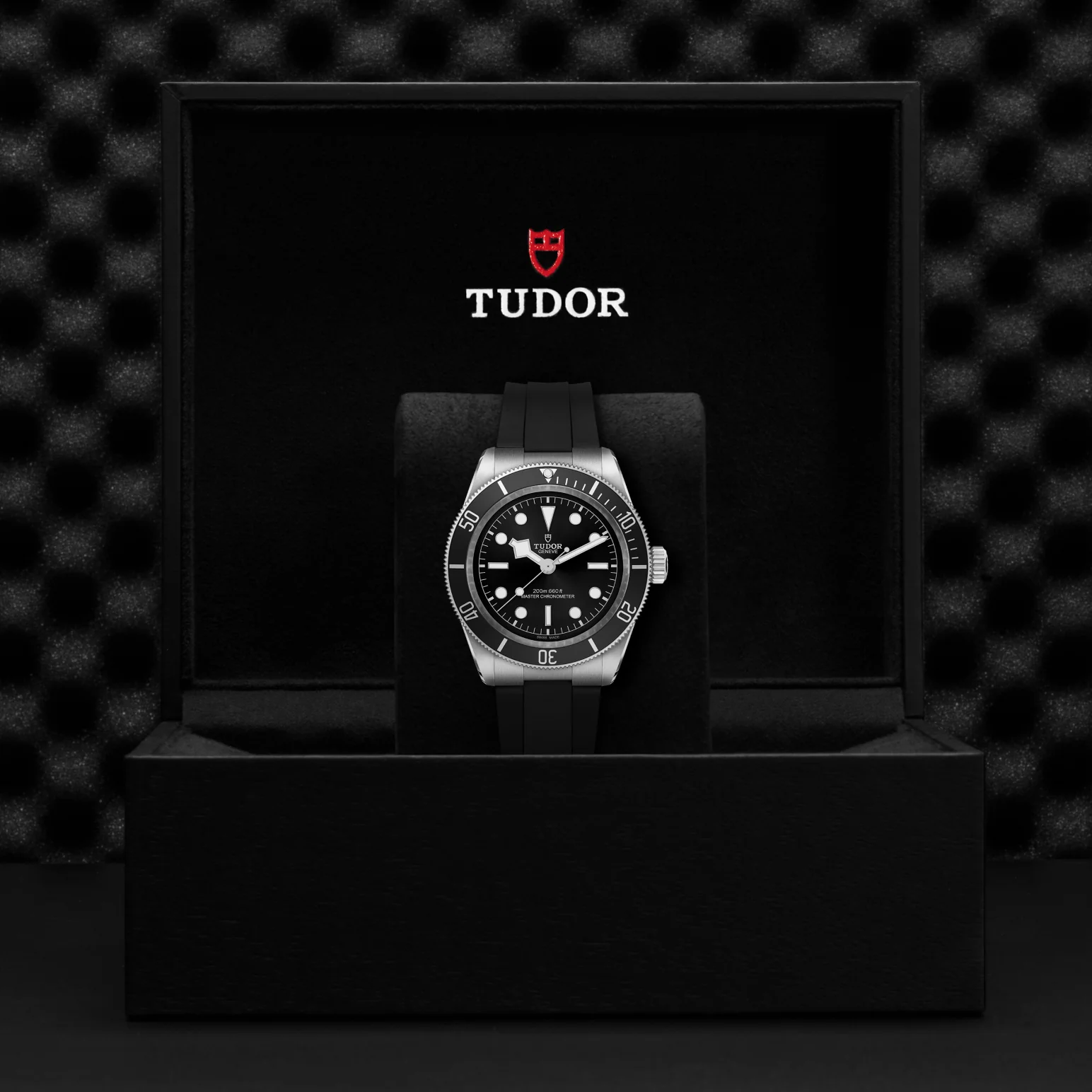 TUDOR Black Bay Automatic 41mm Watch - Image 4
