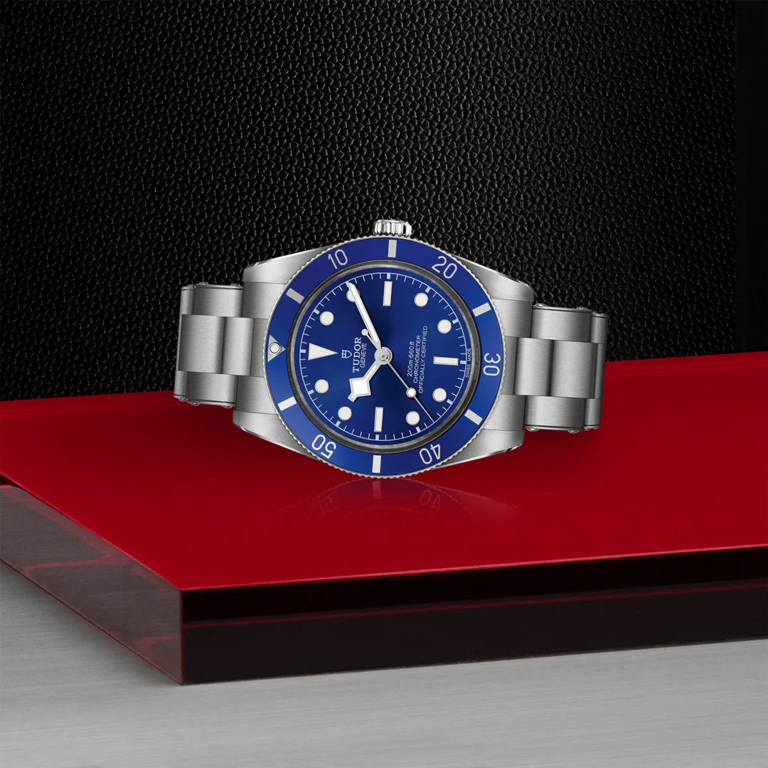 TUDOR Black Bay 54 Automatic Watch - Image 3