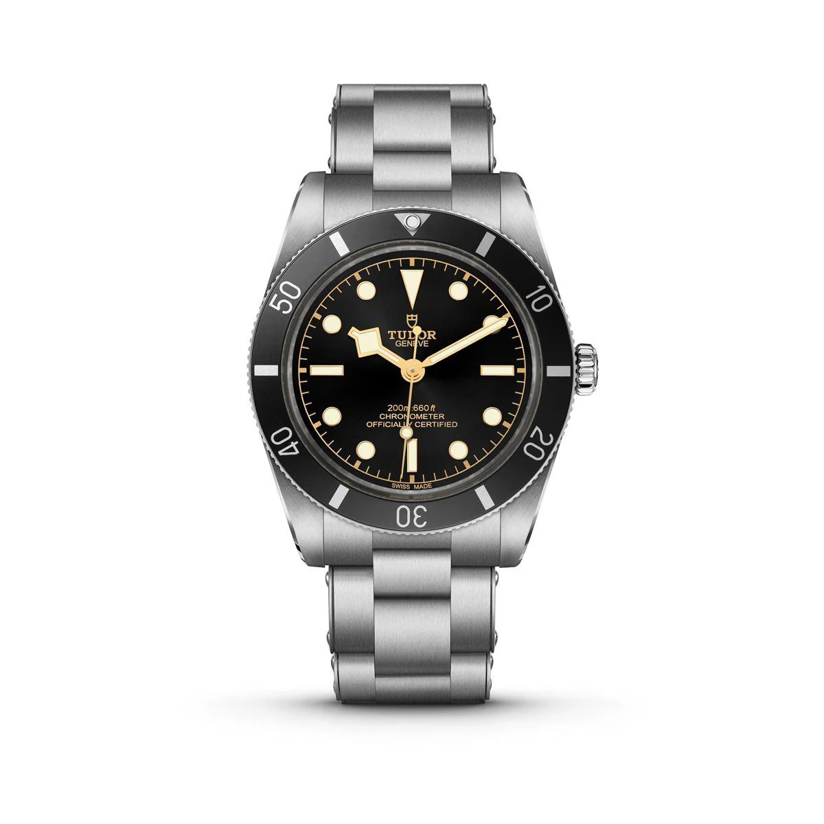 TUDOR Black Bay 54 Automatic Watch