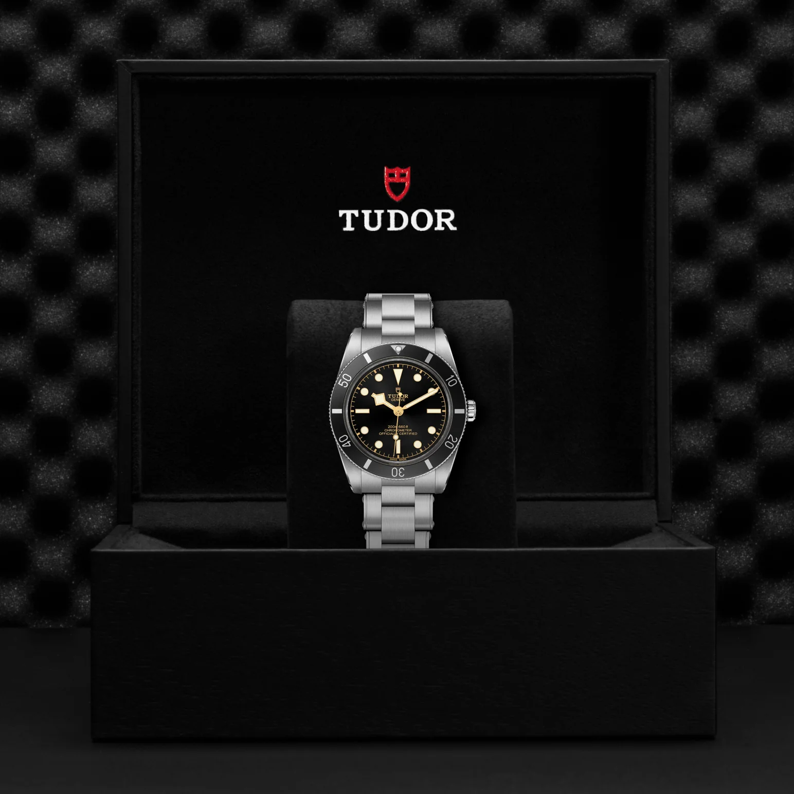 TUDOR Black Bay 54 Automatic Watch - Image 4