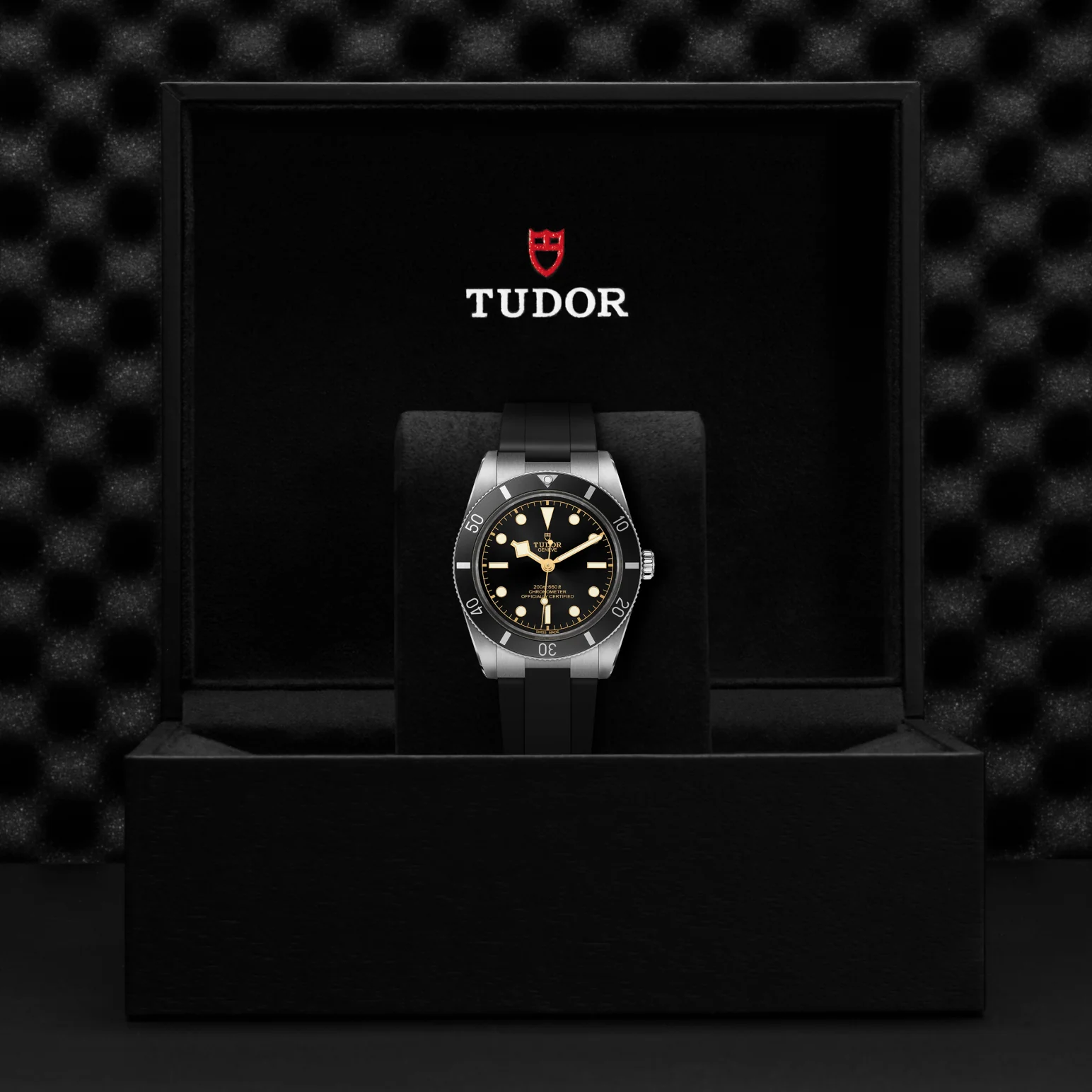 TUDOR Black Bay 54 Automatic Watch - Image 4