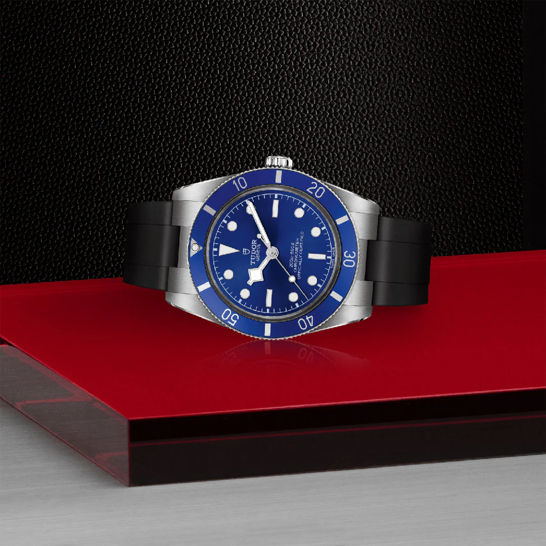 TUDOR Black Bay 54 Automatic Watch - Image 3
