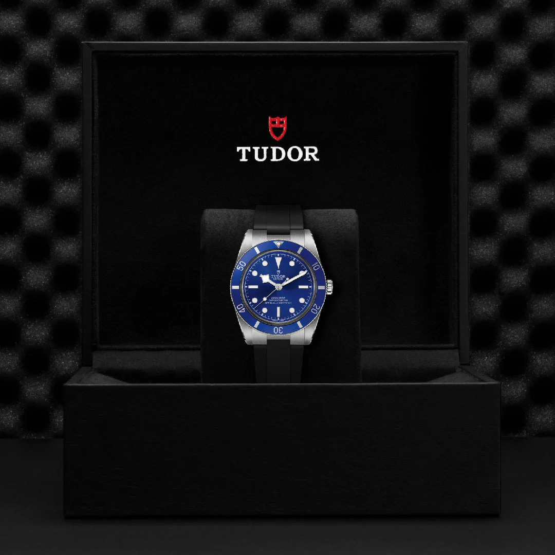 TUDOR Black Bay 54 Automatic Watch - Image 4