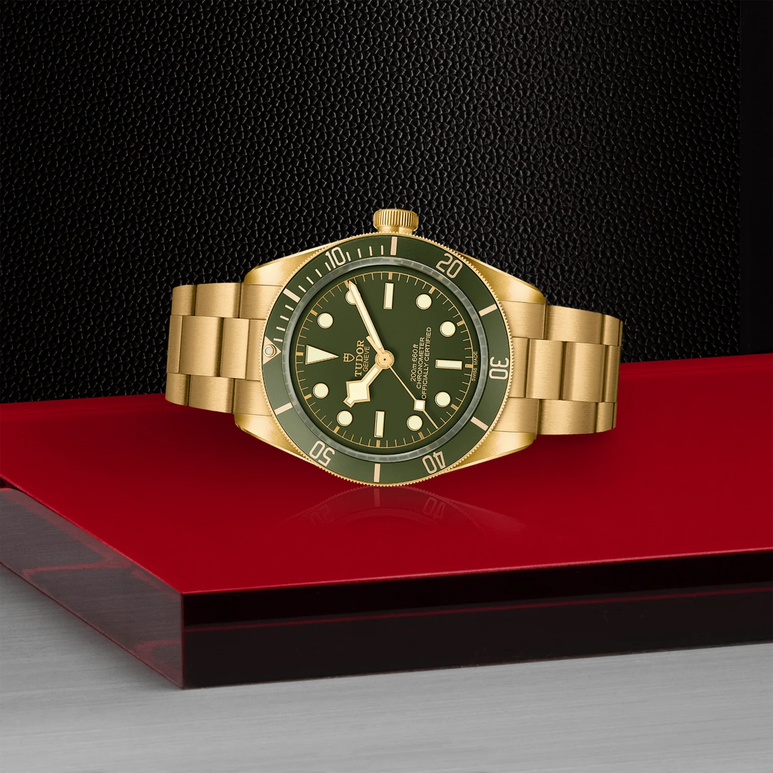 TUDOR Black Bay 58 18K Automatic Watch - Image 3
