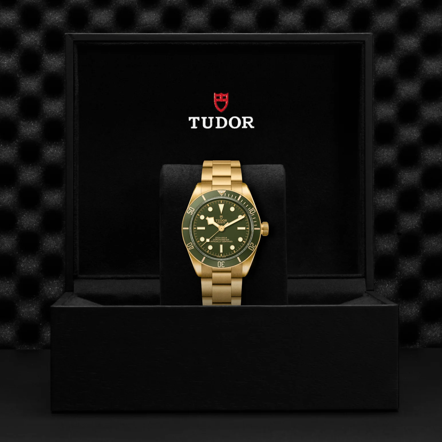 TUDOR Black Bay 58 18K Automatic Watch - Image 4