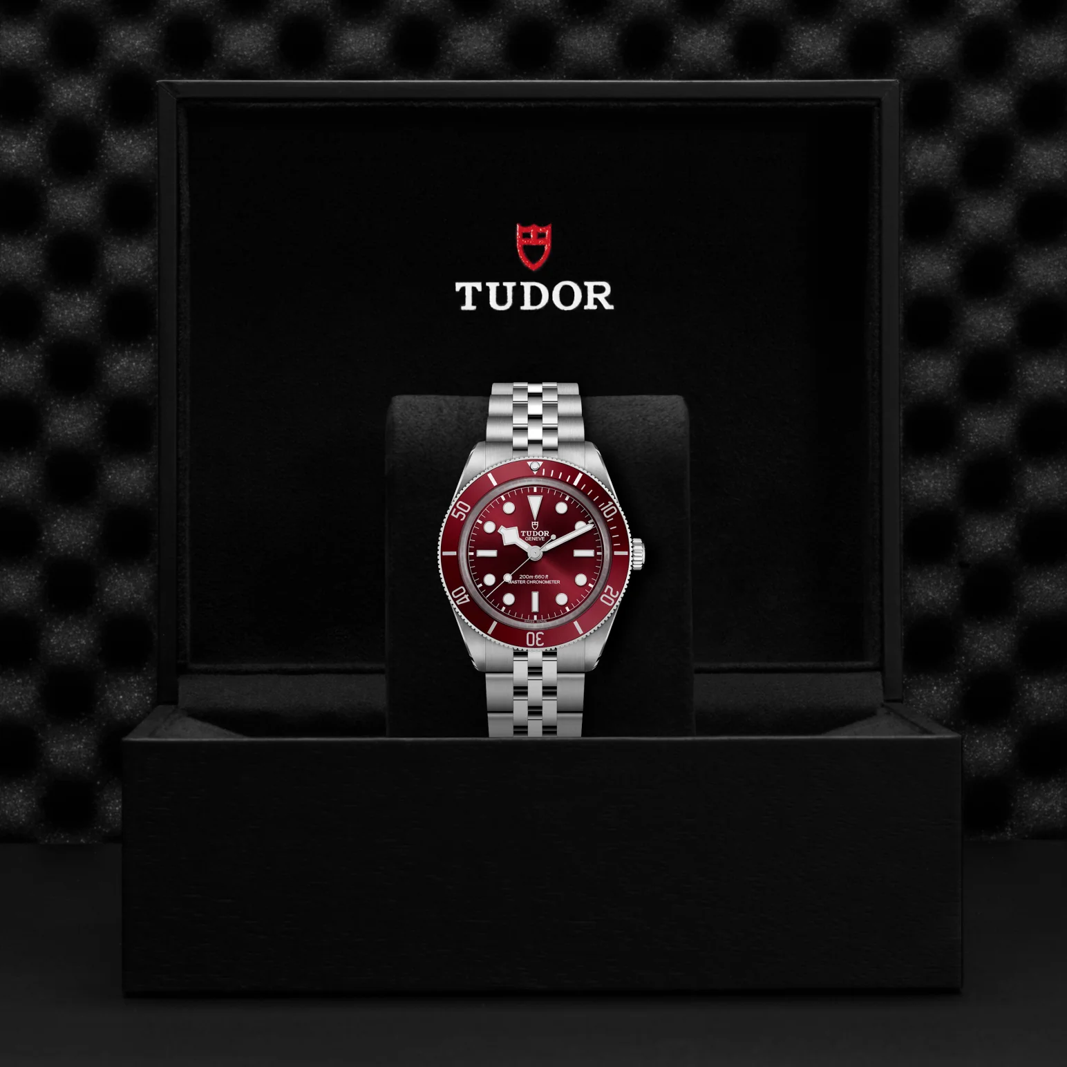 TUDOR Black Bay 58 Automatic 39mm Watch - Image 4