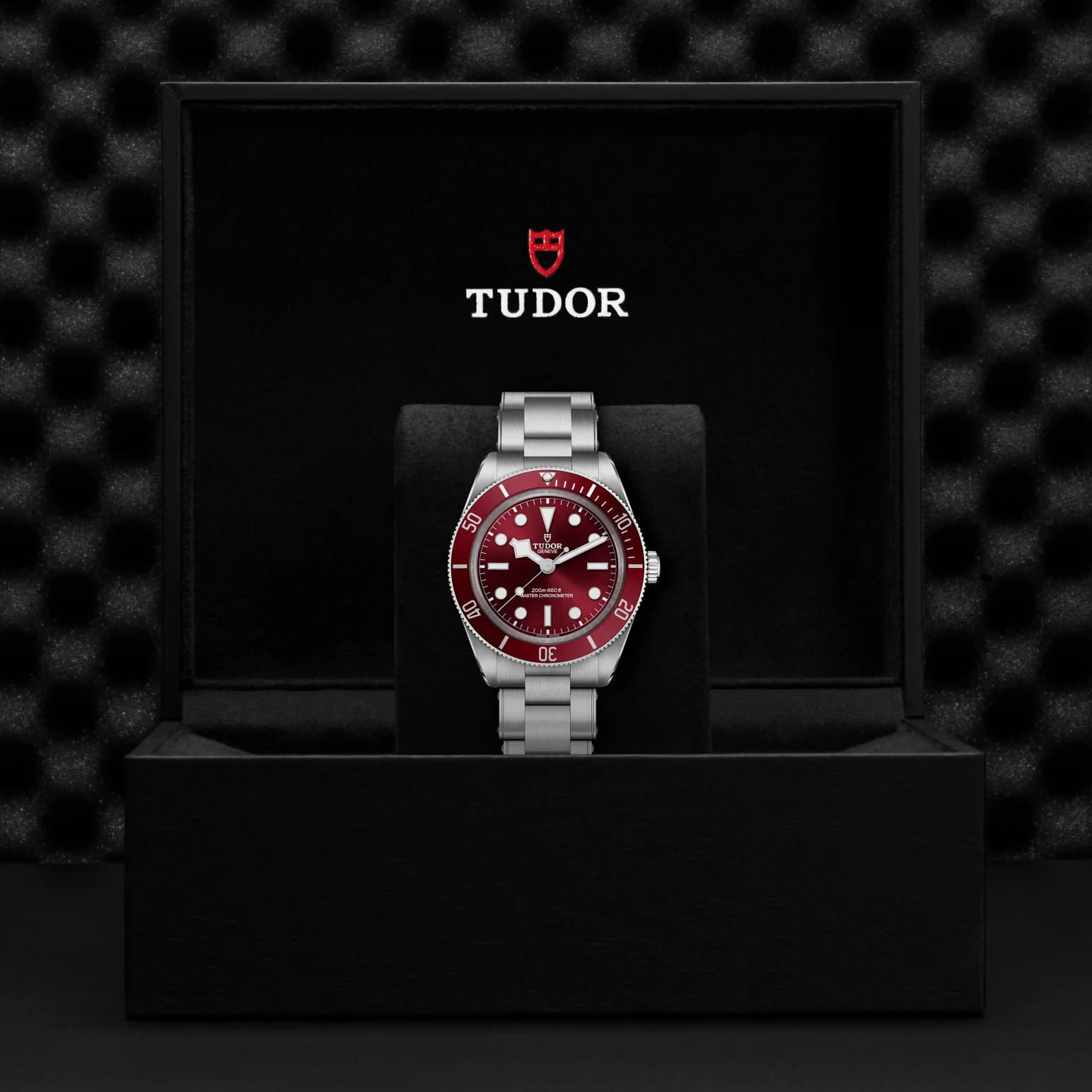 TUDOR Black Bay 58 Automatic 39mm Watch - Image 4