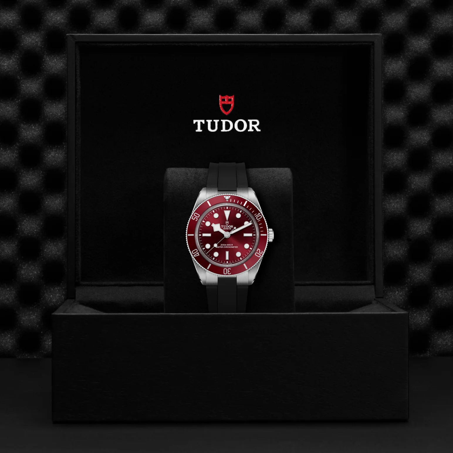 TUDOR Black Bay 58 Automatic 39mm Watch - Image 4