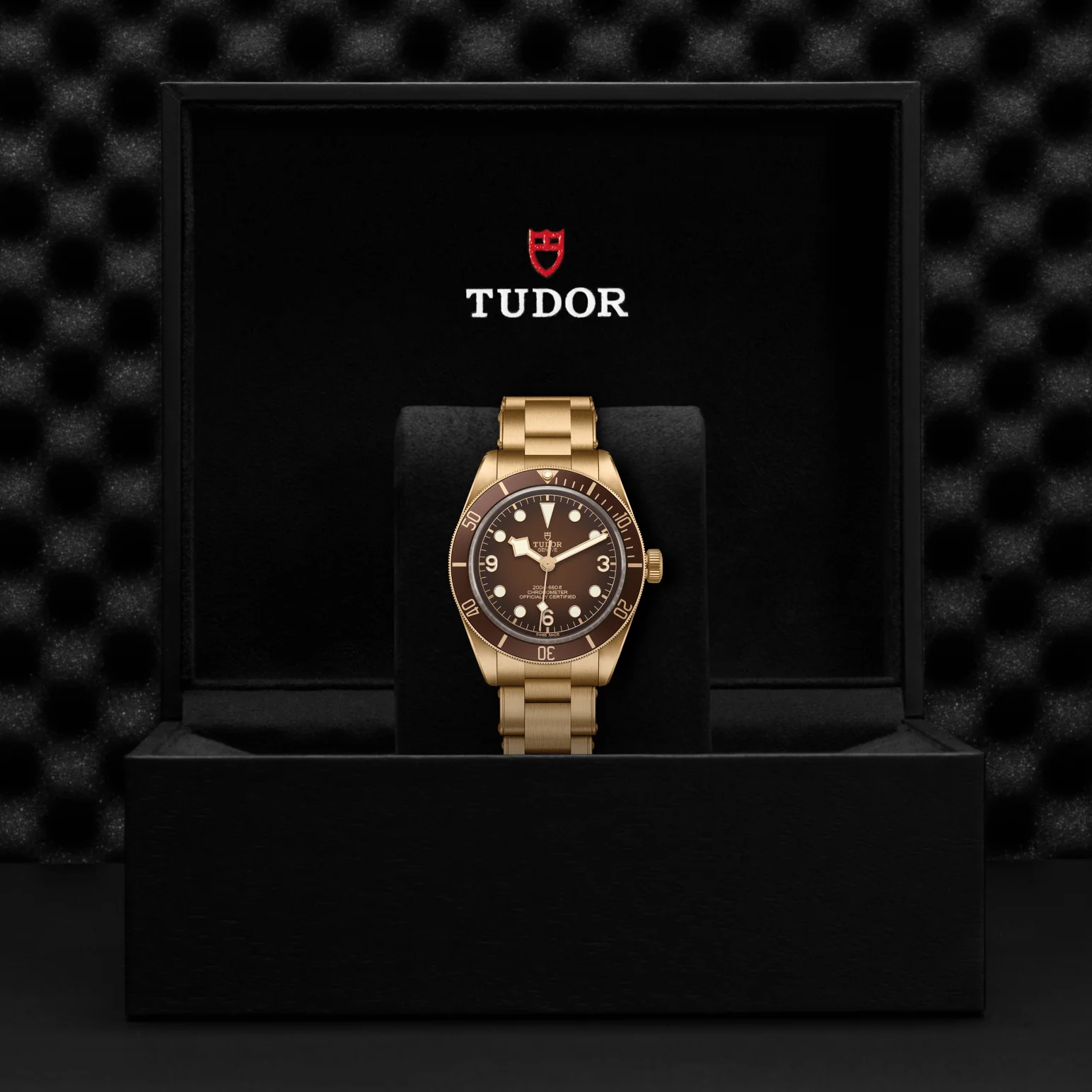 TUDOR Black Bay 58 Bronze Automatic 39mm Watch - Image 4
