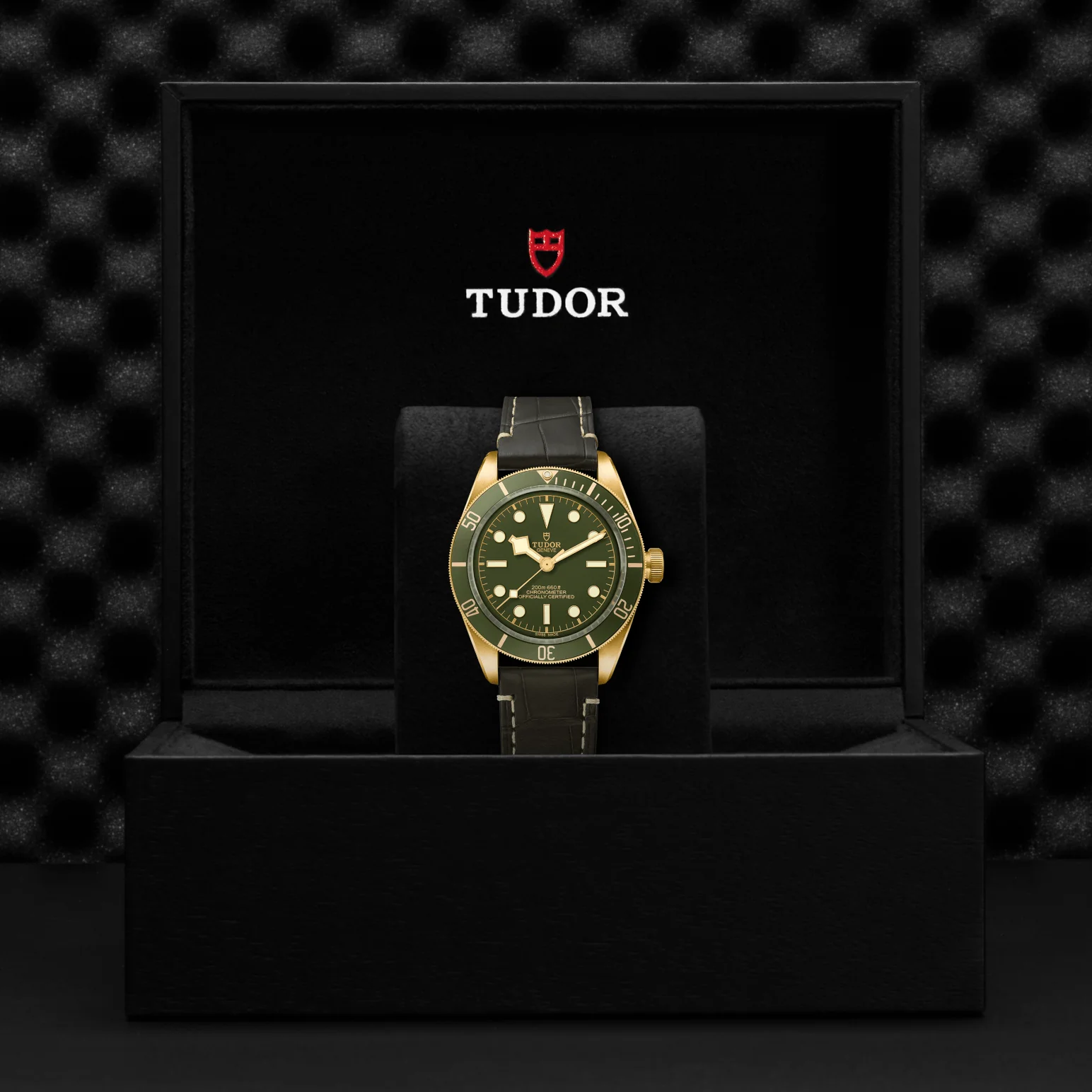 TUDOR Black Bay 58 18K Automatic 39mm Watch - Image 3