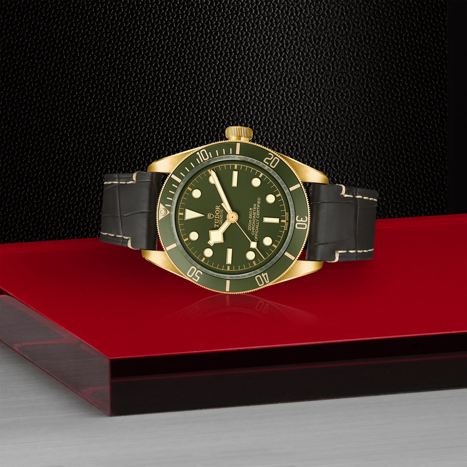 TUDOR Black Bay 58 18K Automatic 39mm Watch - Image 4