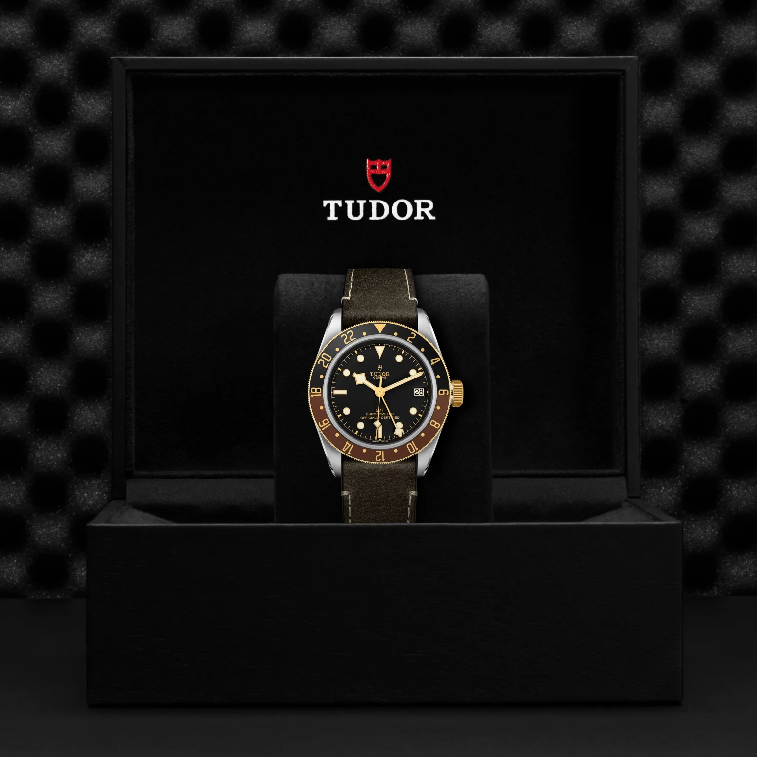 TUDOR Black Bay GMT S&G Automatic 41mm Watch - Image 4