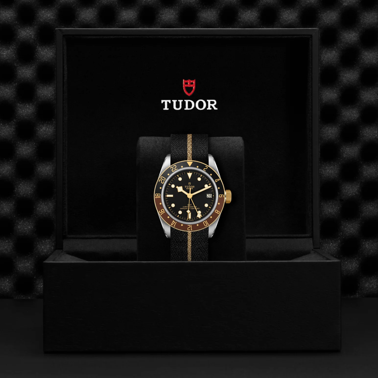 TUDOR Black Bay GMT S&G Automatic 41mm Watch - Image 4