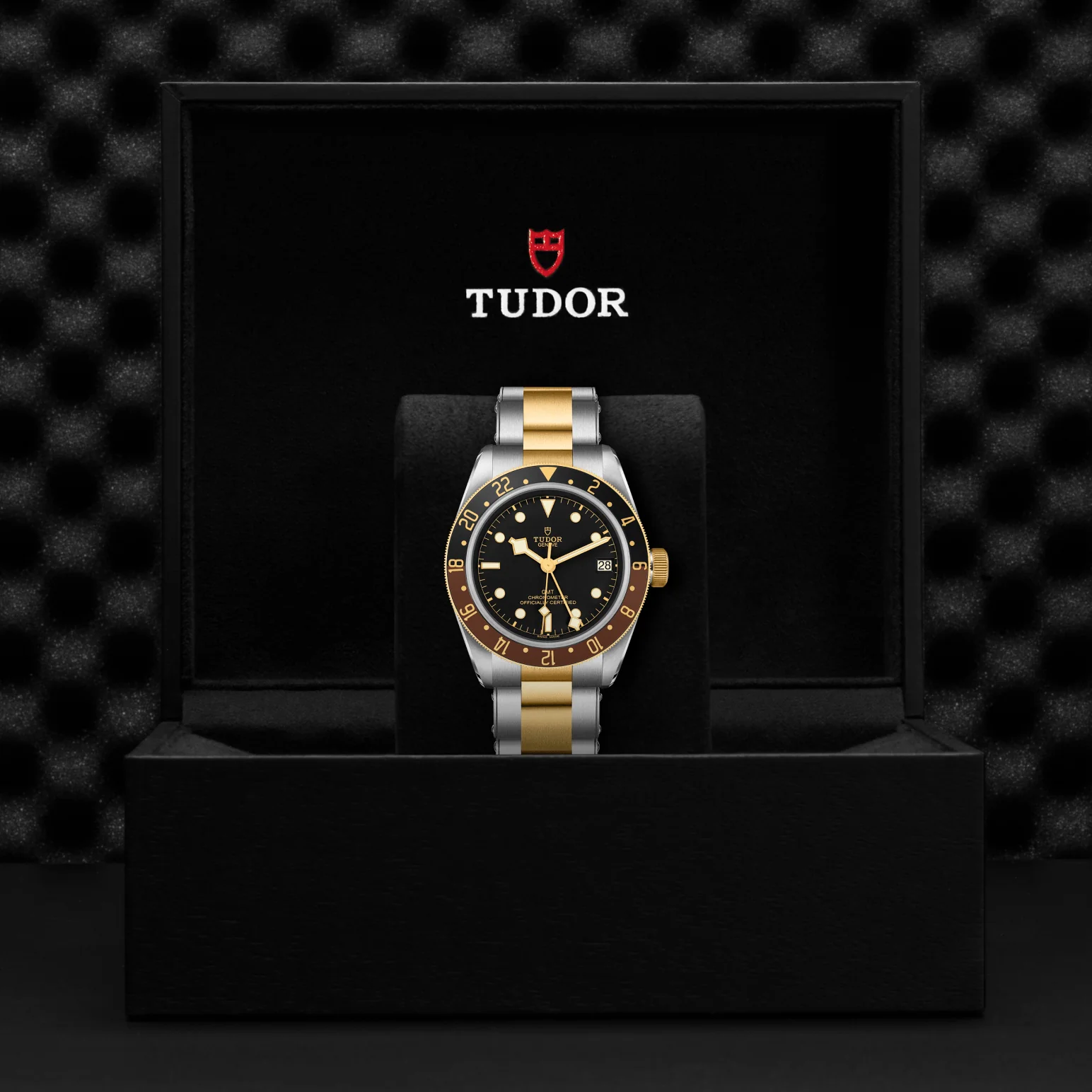 TUDOR Black Bay GMT S&G Automatic 41mm Watch - Image 4