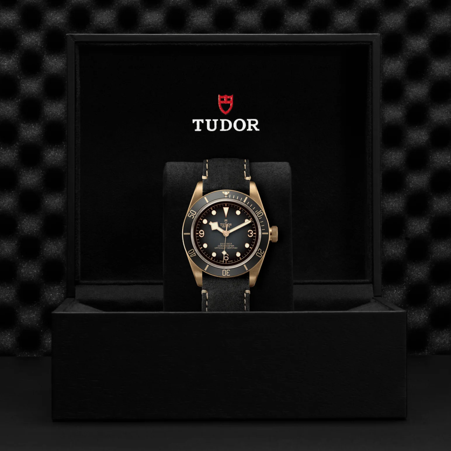 TUDOR Black Bay Bronze Automatic 43mm Watch - Image 4