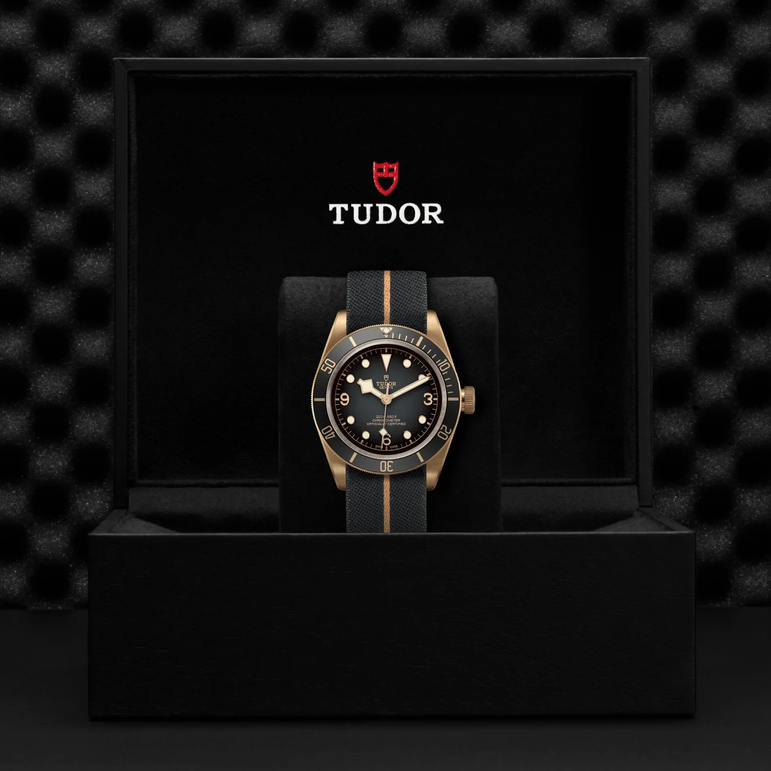 TUDOR Black Bay Bronze Automatic 43mm Watch - Image 4