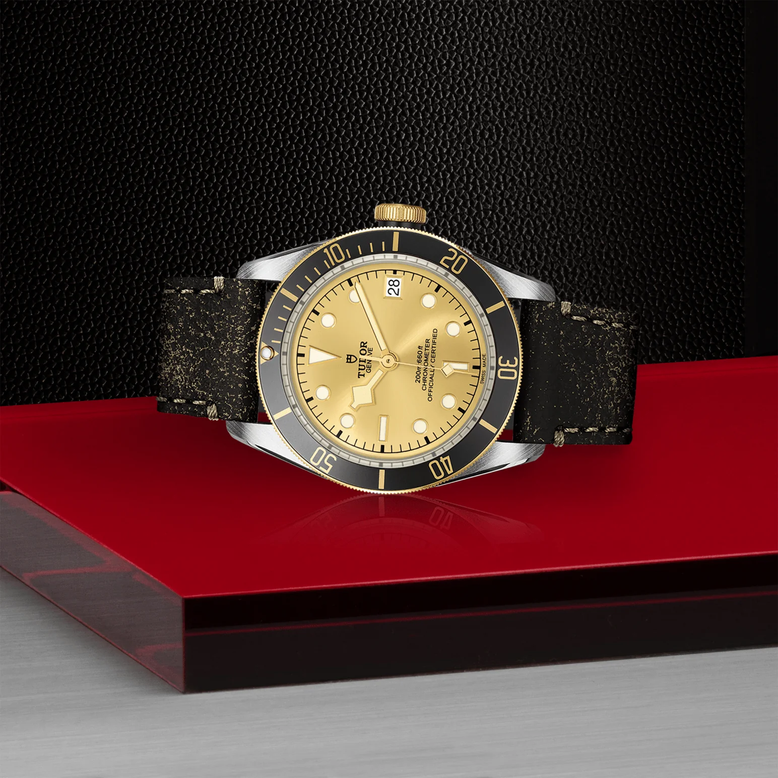 TUDOR Black Bay S&G Automatic 41mm Watch - Image 3