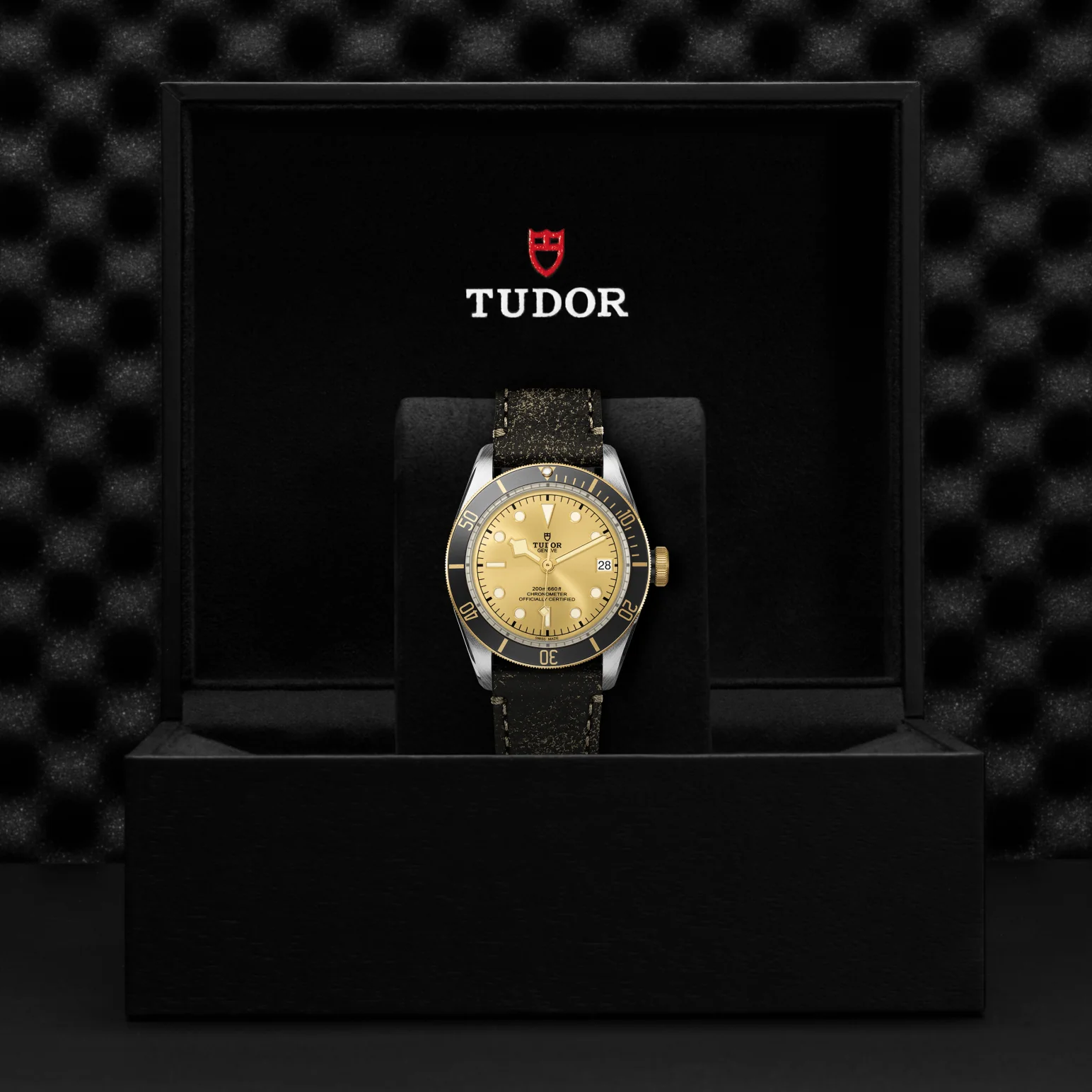 TUDOR Black Bay S&G Automatic 41mm Watch - Image 4